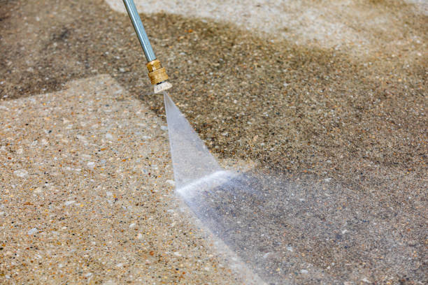 Best Driveway Pressure Washing  in Catalina, AZ